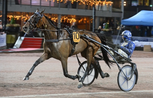 Green Mamba sprintar undan på lätta ben för Rikard N Skoglund. Foto: Malin Albinsson, TR Bild Foto av Malin Albinsson, TR Bild